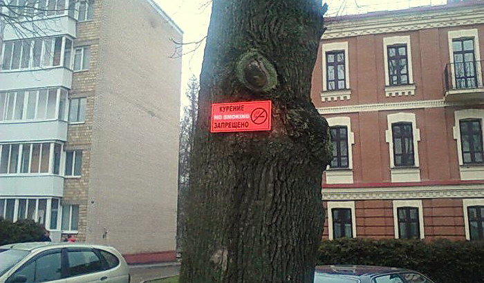 В БГСХА предупреждают: no smoking! Фотофакт