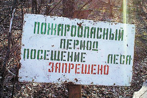 Поход в лес грозит наказанием. Фото: tourdnepr.com.