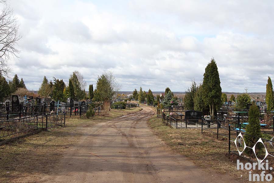 Оршанское кладбище фото