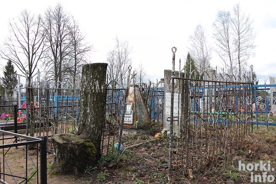 фотографии Оршанского кладбища