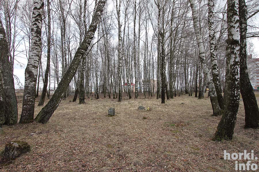 Еврейское кладбище в районе Строителей