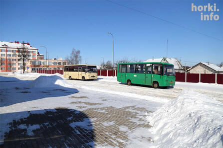 "Считаю, что новый закон усложнил жизнь всем – нам, пассажирам да и самим чиновникам тоже".