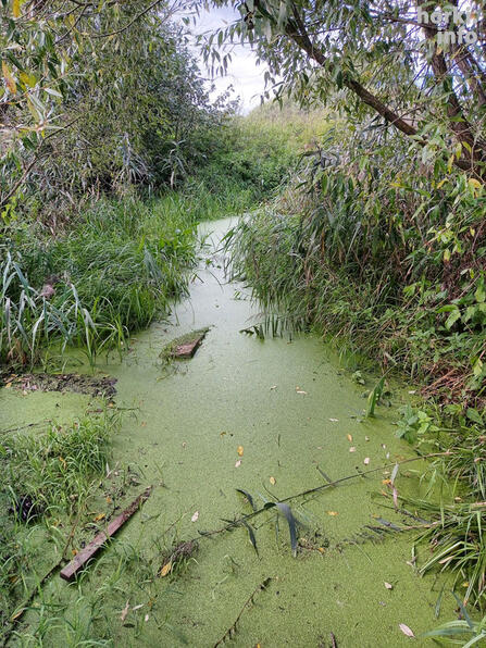 Речка Дерновка.
