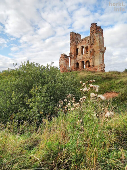 Остатки замка в Смольянах.