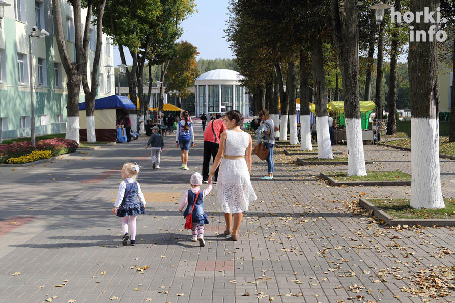 Погода на неделю могилевская обл