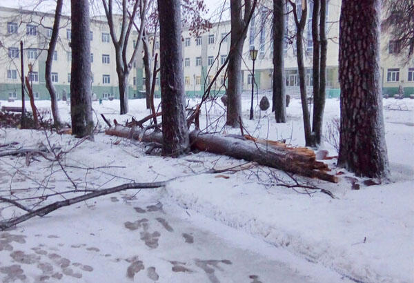 На пятницу 21 января Белгидромет объявил об оранжевом уровне опасности из-за сильного ветра.<br />
<br />
Синоптики предупреждают, что на большей части Беларуси и в Минске ожидается усиление юго-западного ветра порывами до 15-20 м/с.