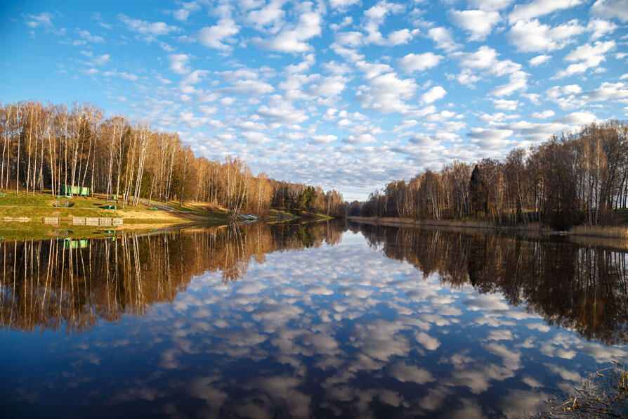 Погода могилевская область на 10