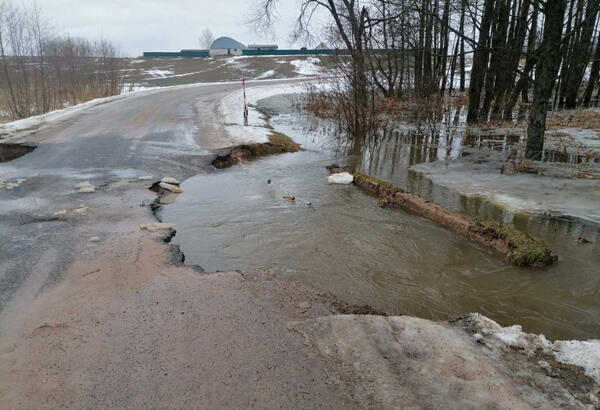 В Могилевской области река Проня размывает дороги и подтапливает мосты