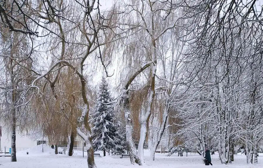 С 22 по 28 января в Горках, Дрибине и Мстиславле ожидается снежная погода практически каждый день, а вот температуры для зимы будут умеренными – днем от нуля до -6.