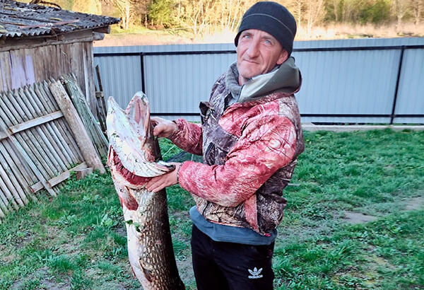 Белорусский рыбак поймал щуку весом более 12 килограмм! Но это не рекорд