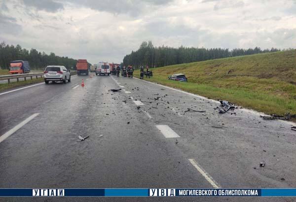 Вчера 18 июля днем в Дрибинском районе около деревни Трилесино случилось ДТП, в котором пострадали 8 человек, сообщает 