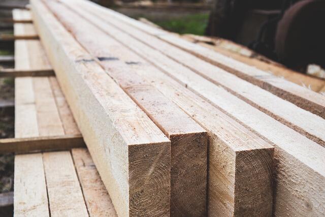 Кому и по какой цене в Могилевской области будут продавать древесину, заготовленную после стихии? 