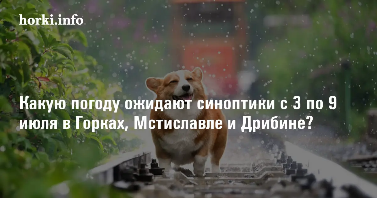 Погода в новых горках карта