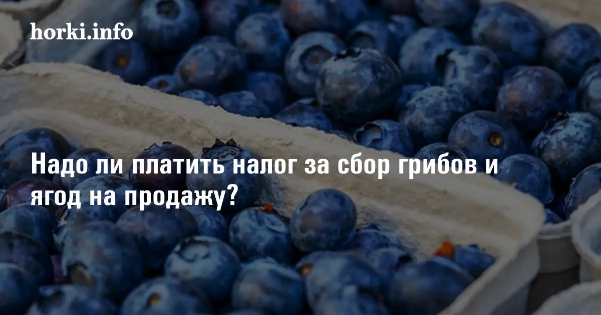 Кто может продавать грибы и ягоды и не платить при этом подоходный ...