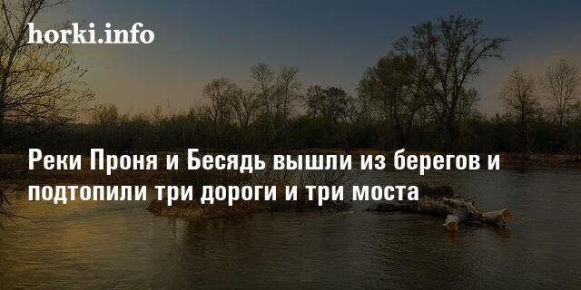 Проня и ока